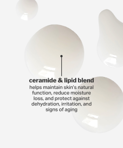 lightweight hydration duo